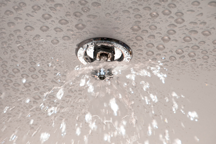 Residential Fire Sprinkler Heads: What Makes Them Special?