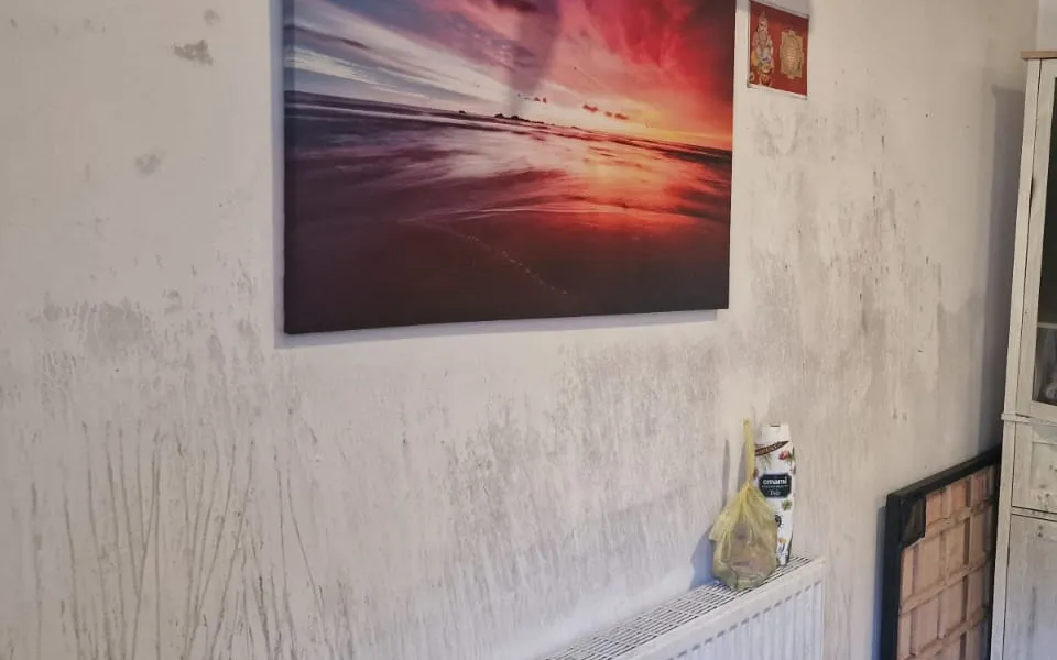 Home saved from fire by Automist